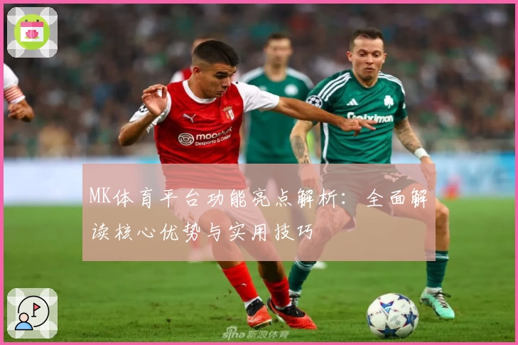 MK体育平台功能亮点解析：全面解读核心优势与实用技巧