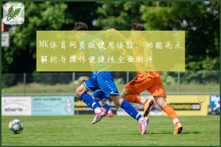 MK体育网页版使用体验：功能亮点解析与操作便捷性全面测评